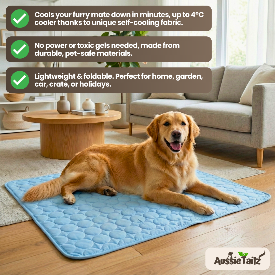 Cooling pet mat