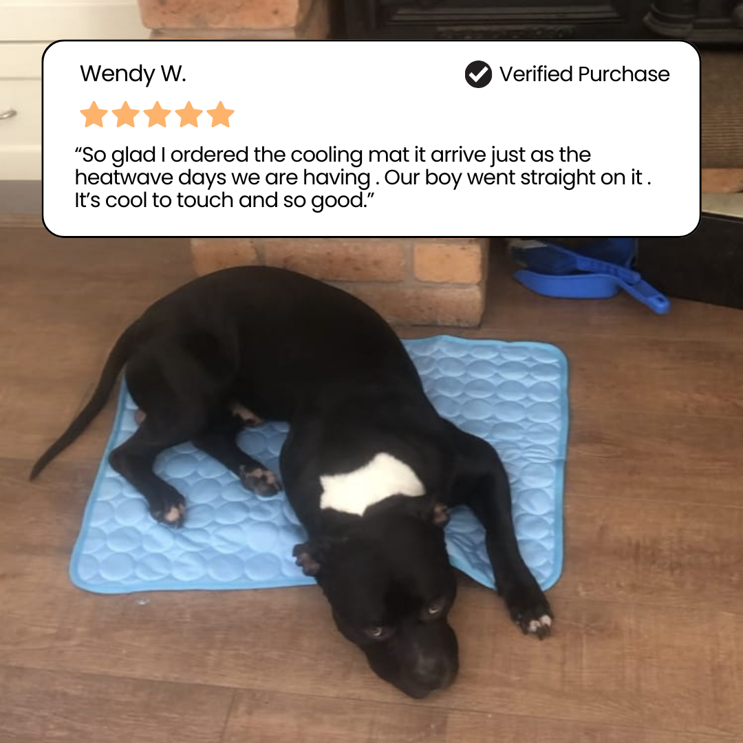 Cooling pet mat