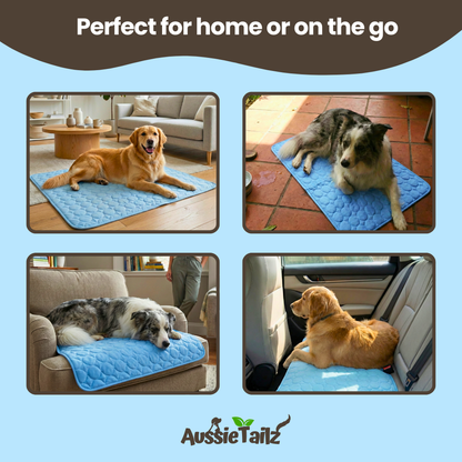 Cooling pet mat